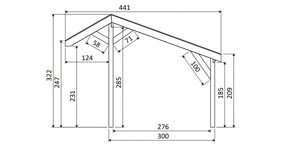 DHZ Buitenverblijf Canopy Kapschuurdak - 600 x 300 cm